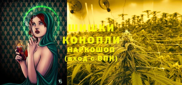 ПСИЛОЦИБИНОВЫЕ ГРИБЫ Зерноград