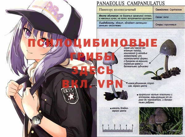 ПСИЛОЦИБИНОВЫЕ ГРИБЫ Зерноград