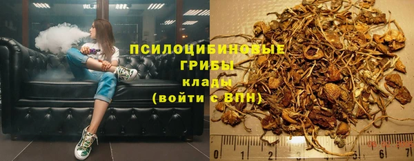 ПСИЛОЦИБИНОВЫЕ ГРИБЫ Зерноград