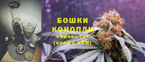ешки Инта