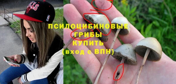 ПСИЛОЦИБИНОВЫЕ ГРИБЫ Зерноград
