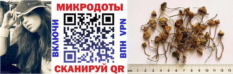 Купить где  Зеленокумск  Псилоцибиновые грибы MAGIC MUSHROOMS 